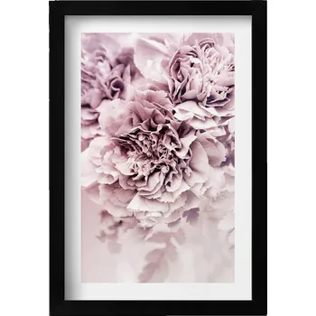 Obraz Elegantní obraz v černém rámu - Bledě růžové pivoňky, okvětní lístky, 20x30 cm