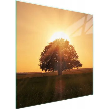 Kuchyňské prkénko Krájecí deska TMK ArtDeko sklo 1 ks