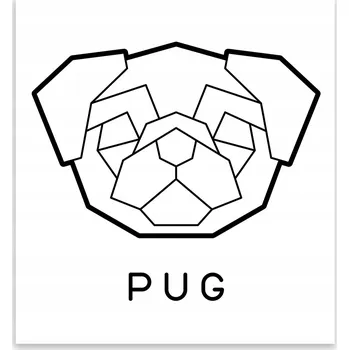 Kuchyňské prkénko Skleněná Ochranná Deska a Krájecí Prkénko | Indukce, Sporák ds-0181