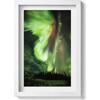 Obraz Závěsný obraz rámeček bílé barvy Zelená polární záře nad lesem 20x30 cm
