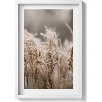 Obraz Obraz v rámu na zeď do obýváku Boho jemné trávy 40x60 cm