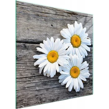 Kuchyňské prkénko Krájecí deska TMK ArtDeko sklo 1 ks