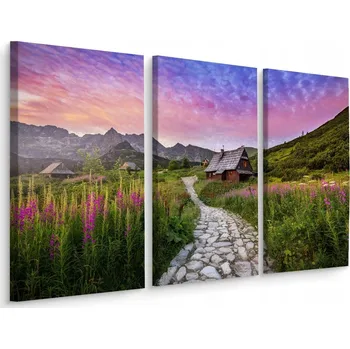 Obraz Obraz TRYPTYK Tatry Rostliny Stezka Krajina 60x40