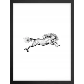 Obraz Obraz plakát v černém rámu do obýváku 30x40 kůň foto plakáty na zeď