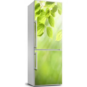 Fototapeta Samolepka Tapeta na lednici Zelené lístky 70x190