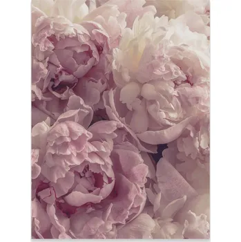 Obraz Plakát na zeď Květiny Velké Pivoňky Růžové do ložnice Obývacího pokoje Bez rámu 100x70