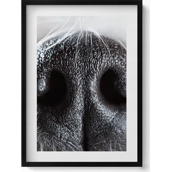 Obraz Dekorativní obraz v černém rámu do obýváku - Detail zvířecího nosu 50x70 cm