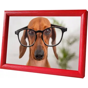 Obraz Rámeček na jedno foto Fotkom 9 x 13 cm