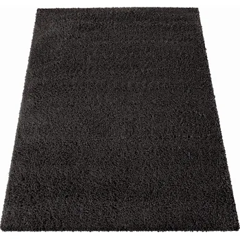 Koberec Koberec shaggy 120 x 170 cm