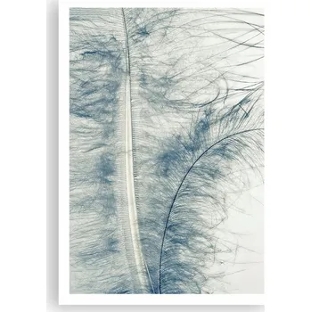 Obraz Plakát na zeď bez rámu 70x100 peří obraz plakáty do obývacího pokoje ložnice
