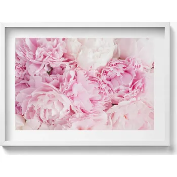 Obraz Dekorace obraz v bílém rámu na zeď Jemné květy pivoňky 70x50 cm