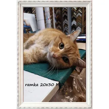 Obraz Klasický rámeček na fotografie na zeď i postavení 20x30 dřevo