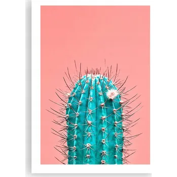 Obraz Plakát bez rámu do obýváku ložnice 50x70 kaktus moderní módní obraz