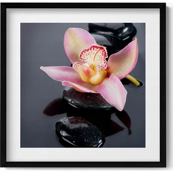 Obraz Dekorativní nástěnný obraz do pokoje Květina na kamenech ve vodě 50x50 cm