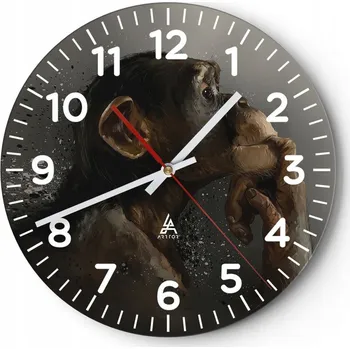 Hodiny Kuchyňské nástěnné hodiny 30x30 Zvířata Moderní skleněné hodiny Obývací pokoj Tiché