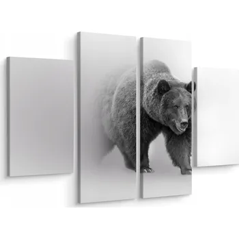 Obraz Obraz Čtyřdílný Medvěd v Mlze Příroda 80x60