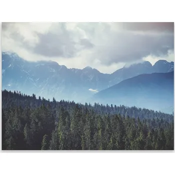 Kuchyňské prkénko Skleněná ochranná deska a prkénko na krájení | Indukce, sporák ds-0423