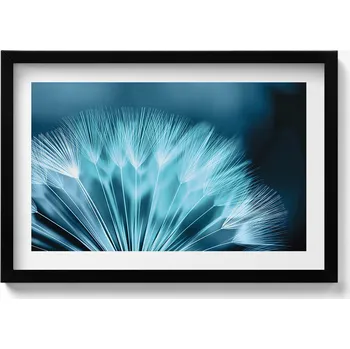 Obraz Obraz v černém rámu, dekorace na zeď Přiblížení na pampeliška 60x40 cm