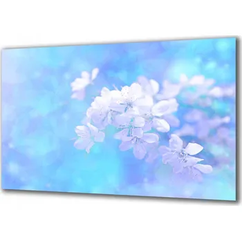 Obraz Obraz na skle Květiny 65914735 100x50