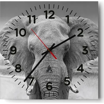 Hodiny Kuchyňské nástěnné hodiny 30x30 Slon Skleněné hodiny do obýváku Moderní Tiché