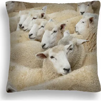 Polštář POLŠTÁŘ BERAN Z OVČÍ VLNY BÉŽOVÝ ČESKÝ VÝROBEK ZW 07