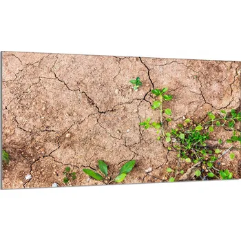 Obraz Krájecí deska TMK ArtDeko sklo 1 ks