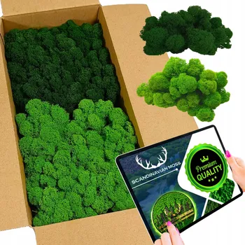 Obraz Mech chrobotek SOBÍ 300g net. ČIŠTĚNÝ FINSKÝ PREMIUM mix 2