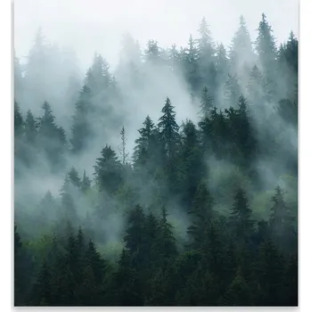 Kuchyňské prkénko Skleněná Ochranná Deska a Krájecí Prkénko | Indukce, Sporák ds-0484