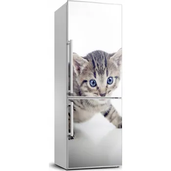 Fototapeta Samolepicí samolepící na ledničku na zeď Malý kocour