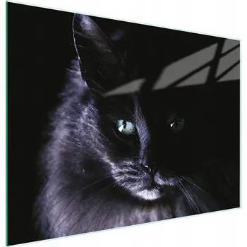 Kuchyňské prkénko Krájecí deska TMK ArtDeko sklo 1 ks