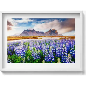 Obraz Dekorativní nástěnný obraz s rámem a grafikou loft Magické květy vlčího bobu 70x50 cm