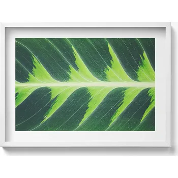 Obraz Dekorativní nástěnný obraz s rámem, loft grafika - Textura a žilky listu, 70x50 cm