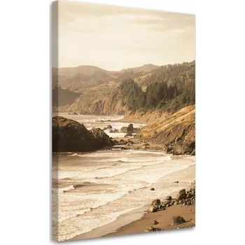 Obraz OBRAZ NA PLÁTNĚ Les u moře CANVAS 40x60