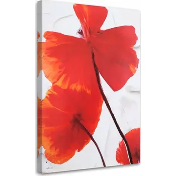 Obraz OBRAZ NA ZEĎ Vlčí máky Květ Červená Příroda 60x90