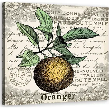 Obraz OBRAZ NA PLÁTNĚ Pomeranč vintage 60x60