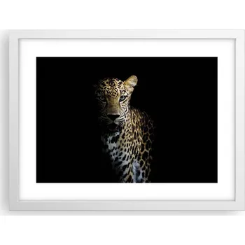 Obraz Obraz plakát v bílém rámu do obýváku 40x30 zvířata foto na zeď