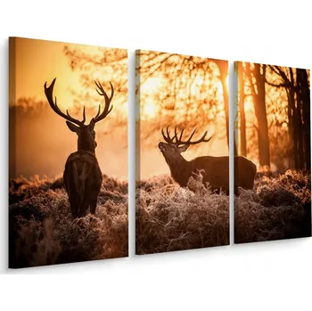Obraz Obraz Tryptych JELENI Západ Slunce Les 3D 60x40
