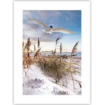 Obraz Obraz plakát do obýváku ložnice 30x40 moře foto plakáty na zeď bez rámu