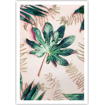Obraz Plakát na zeď bez rámu 70x100 botanika obraz plakáty do obývacího pokoje ložnice