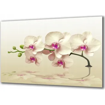 Obraz Obraz na skle Květiny 118064042 100x50