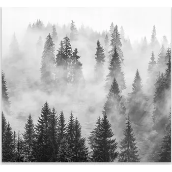 Kuchyňské prkénko Skleněná Ochranná Deska a Krájecí Prkénko | Indukce, Sporák ds-0499