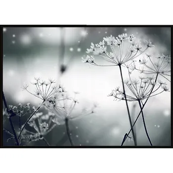 Obraz OBRAZ PLAKÁT V RÁMU 53x73 cm Pampelišky P1487