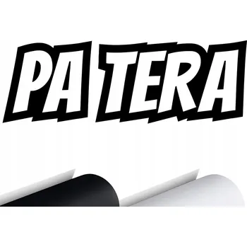 Samolepicí dekorace na vozidlo NÁLEPKA na auto DRIFT FUN PA TERA 15x5 cm