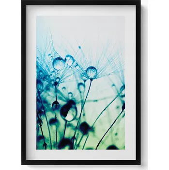 Obraz Dekorace, obraz s grafikou v krásném rámu - Kapky rosy na pampeliškách, 50x70 cm