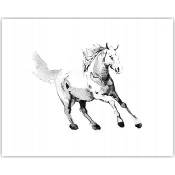 Obraz Obraz plakát na zeď bez rámu 50x40 kůň foto plakáty do obýváku ložnice