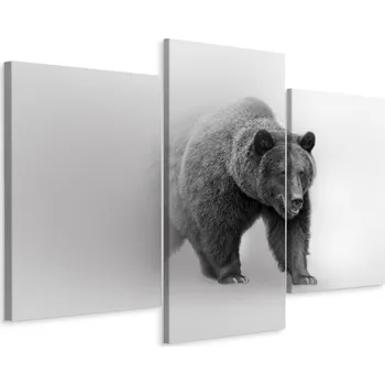Obraz Obraz Tryptych medvěd v mlze Dekor 3D 90x60