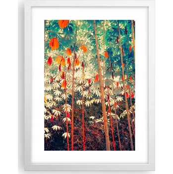 Obraz Obraz plakát v bílém rámu do obýváku 30x40 les příroda plakáty na zeď