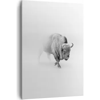 Obraz Obraz na plátně do obýváku ložnice 50x70 zubr foto obrazy na zeď canvas