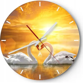 Hodiny Velké nástěnné hodiny na zeď 40x40 Labutě Skleněné hodiny Kulatý Tiché