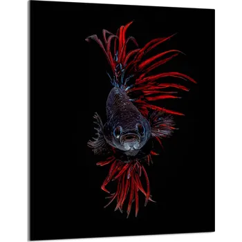 Kuchyňské prkénko Krájecí deska TMK ArtDeko sklo 1 ks